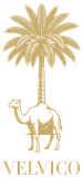03_9474adee-c60c-585c-b428-6b854f709de9_transparent_small